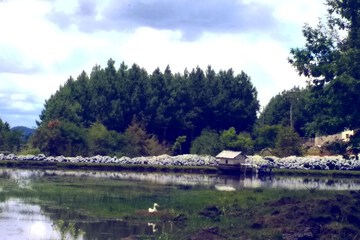 Lake