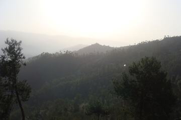 Mountain view