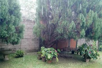 Photo 56