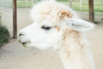 Property Grounds 36 of 37