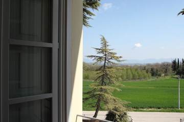 View from room