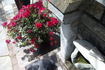 Photo 87