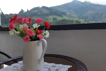Valley view
