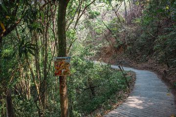 Hiking
