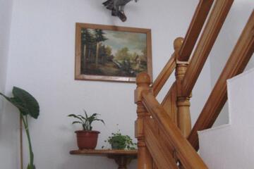 Photo 35