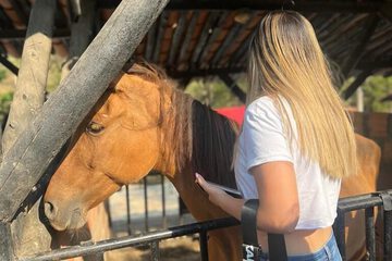 Horseback riding