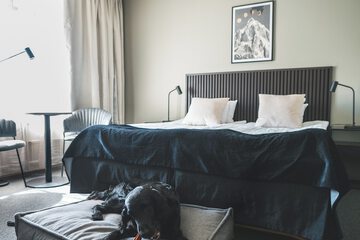 Pet-friendly