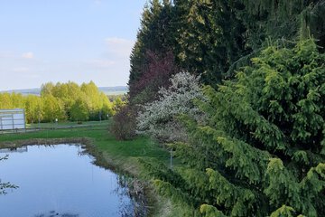 Lake view