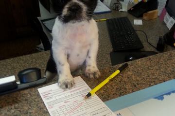 Check-in/check-out kiosk