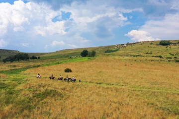 Horseback riding