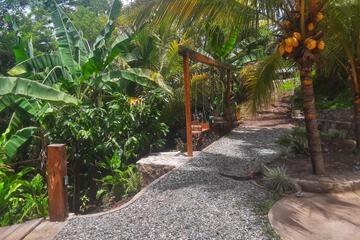 Photo 43