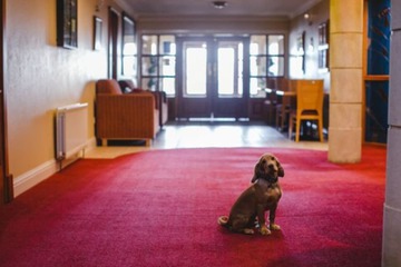 Reception hall