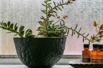  Harbour Lodge Motel Brunswick Heads 30