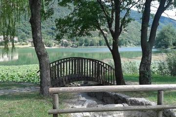 Photo 21