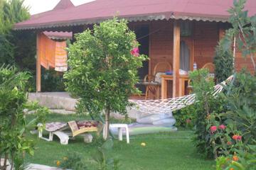 Photo 41