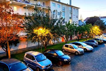 Photo 39