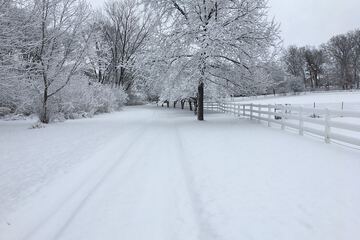 Snowshoeing