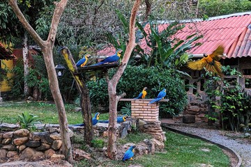 Game viewing