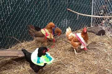 Health and Fitness 64 of 87