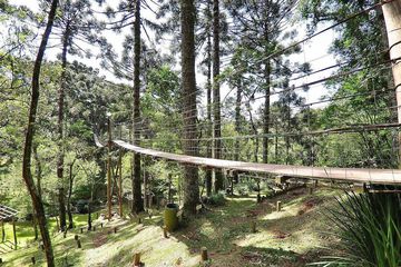Ropes course (team building)