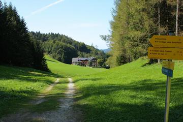 Photo 27