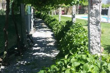 Photo 52