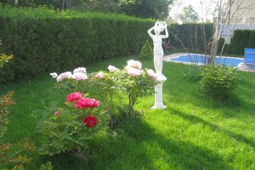 Photo 43