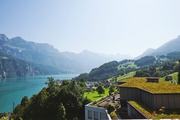 Lake view