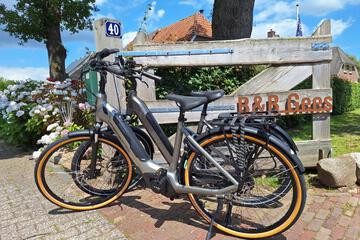 Photo 50