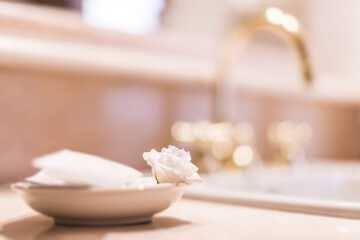 Bathroom amenities