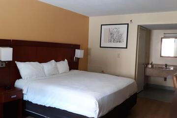 Photo 43