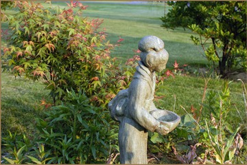 Property Grounds 62 of 62