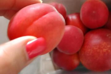 Photo 47