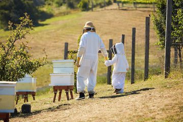 Children's activities