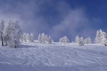 Snow and ski sports