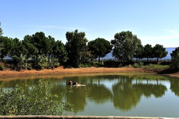 Lake