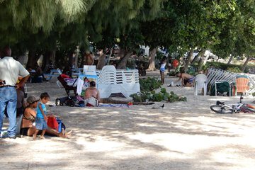 BBQ/picnic area