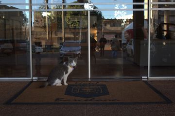 Pet-friendly