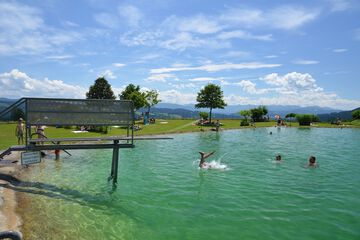 Natural pool