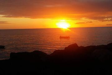 Photo 49