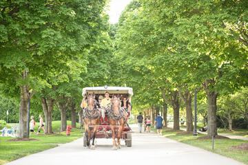 City shuttle