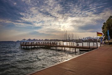 Dock