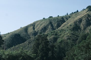 Hiking