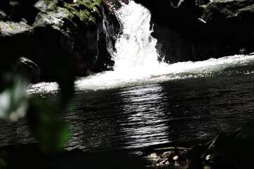 Ecotours