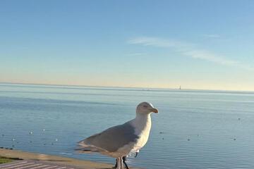 Photo 28