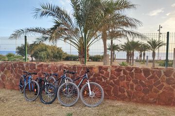 Bicycling