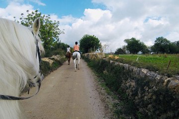 Horseback riding
