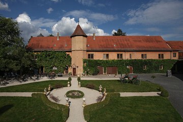 Outdoor wedding area