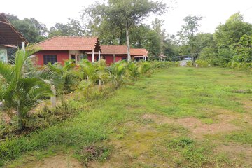 Park view