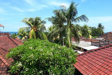 Photo 50
